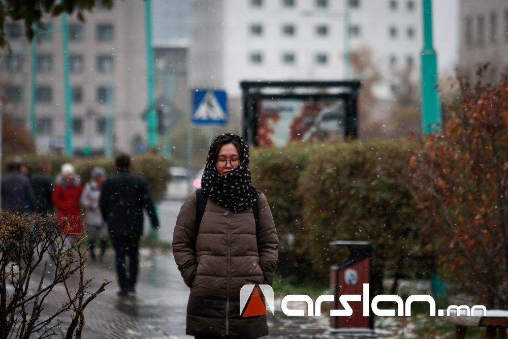 ФОТО: ШИНЭХЭН ЦАСТАЙ ШИНЭ ДОЛОО ХОНОГИЙН МЭНД