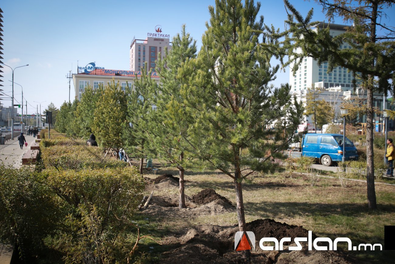 Том оврын шилмүүст моддыг угаах, хаврын цэнэг усалгааны ажил эхэллээ