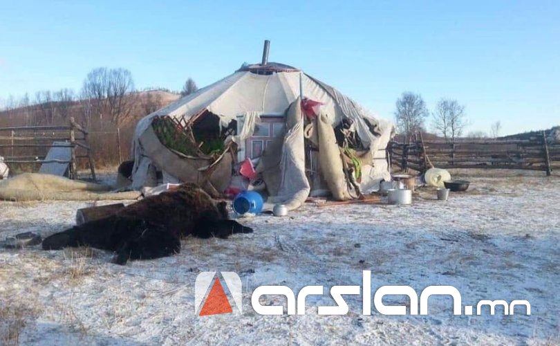 Айлын гэр сүйтгэсэн баавгайг буудав