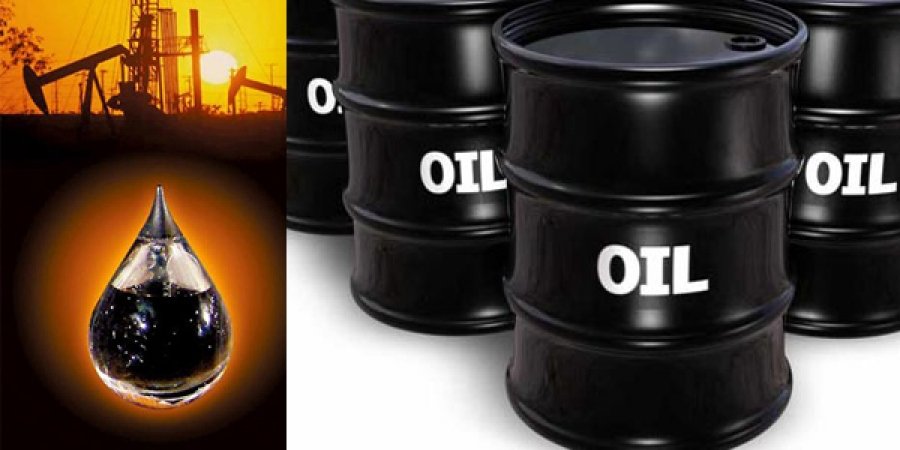 Нефтийн ханш нэг хувиар өсөхөд манай улсын ДНБ 0.1 хувиар буурдаг