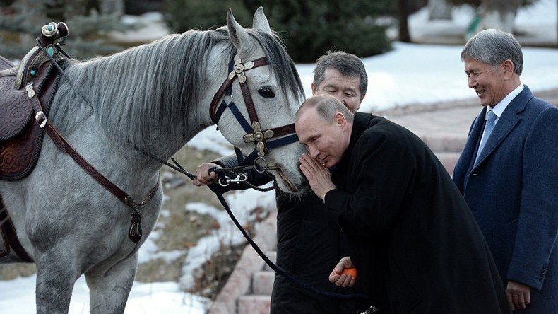 ФОТО: В.Путинд орловын хатирч морь, тайгын нохой бэлэглэжээ