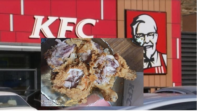 KFC-ийн тахианы мах ТҮҮХИЙ байсан уу