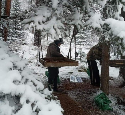 Самарт явсан 28 хүнээс зургаа нь угаартаж нас баржээ