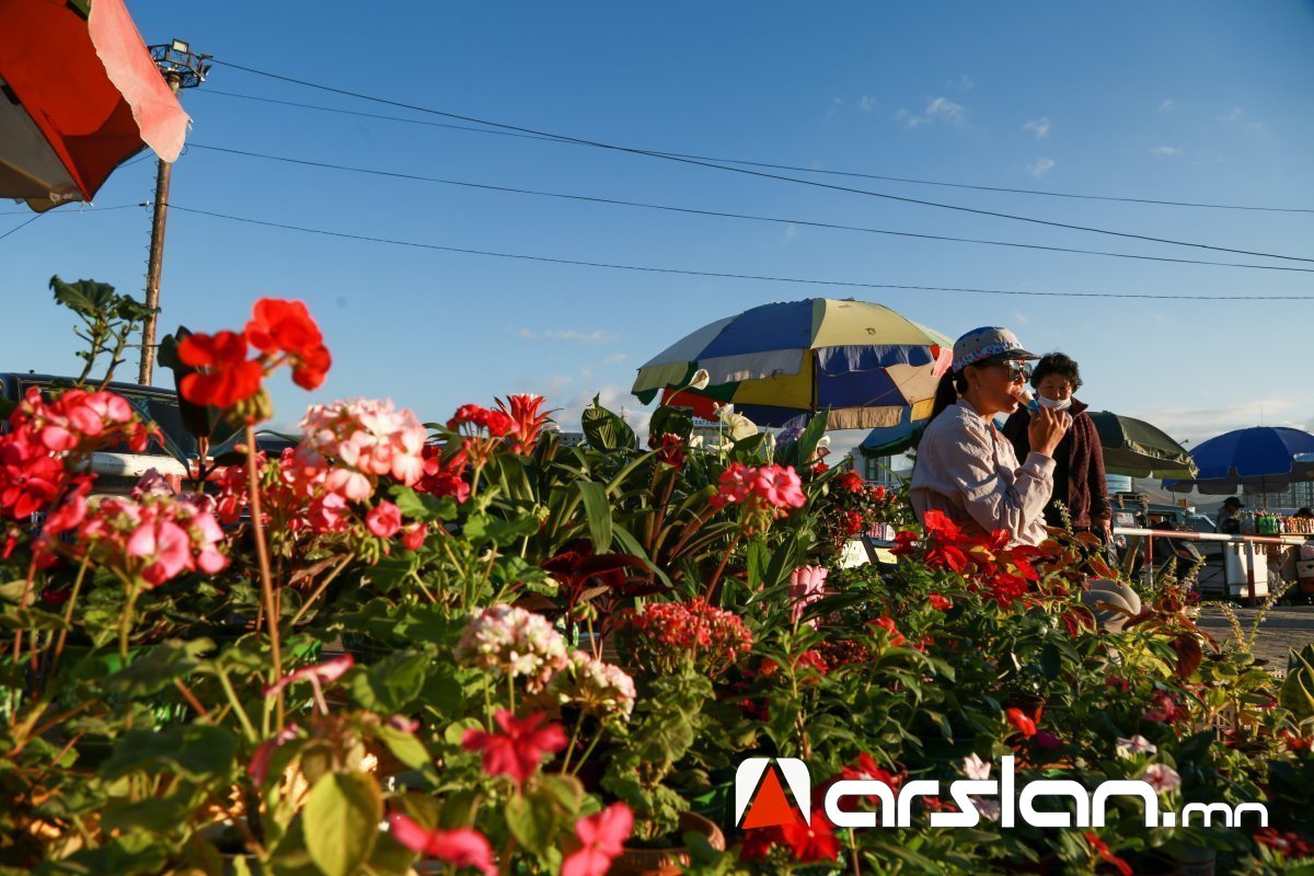 Улаанбаатарт 21 хэм дулаан байна