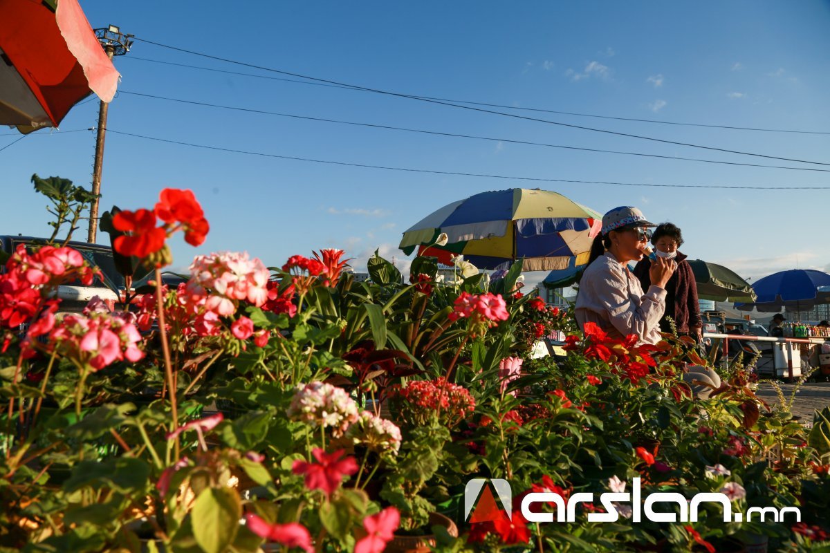 Улаанбаатарт 32 градус дулаан байна