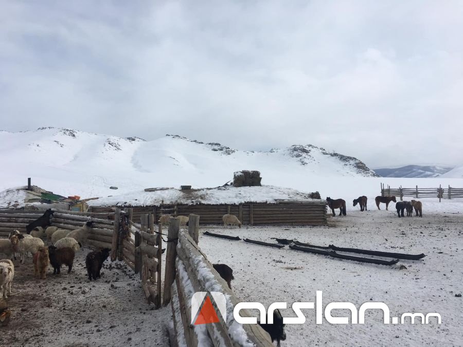 Гэрээсээ морьтой гараад сураггүй болсон 17 настай хүүг ЭСЭН МЭНД олжээ