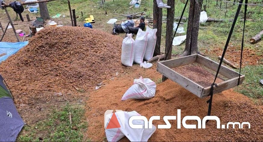 Самар түүхээр яваад сураггүй болсон иргэнийг ЭСЭН МЭНД олжээ