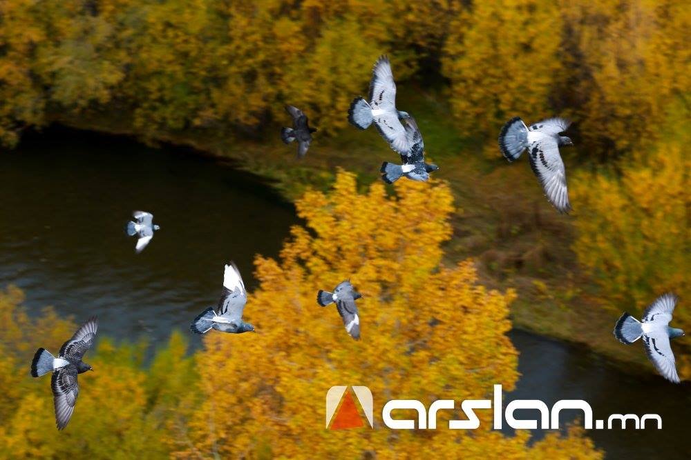 Улаанбаатарт 14 градус дулаан байна